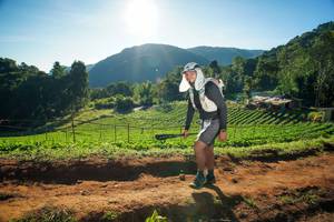 BIB: 
                            <button type="button" onclick="openModal(19176064)" class="btn btn-primary btn-sm float-right btn-popup" data-toggle="modal" data-target=".modal-high-quality">
                        <i class="fas fa-shopping-cart"></i> Add to Cart
                    </button>
                                            <button type="button" onclick="isThisMe(19176064, true)" class="btn btn-success btn-sm float-right btn-popup btn-isme hidden" data-toggle="tooltip" data-placement="bottom" title="นี่คือรูปของคุณใช่ไหม คลิกที่นี่เพื่อเอาเข้าอัลบั้ม">
                        <i class="fas fa-plus"></i> Add to album
                    </button>
                    <button type="button" onclick="isThisMe(19176064, false)" class="btn btn-warning btn-sm float-right btn-popup btn-isnotme hidden">
                        <i class="fas fa-ban"></i> Remove from album
                    </button>